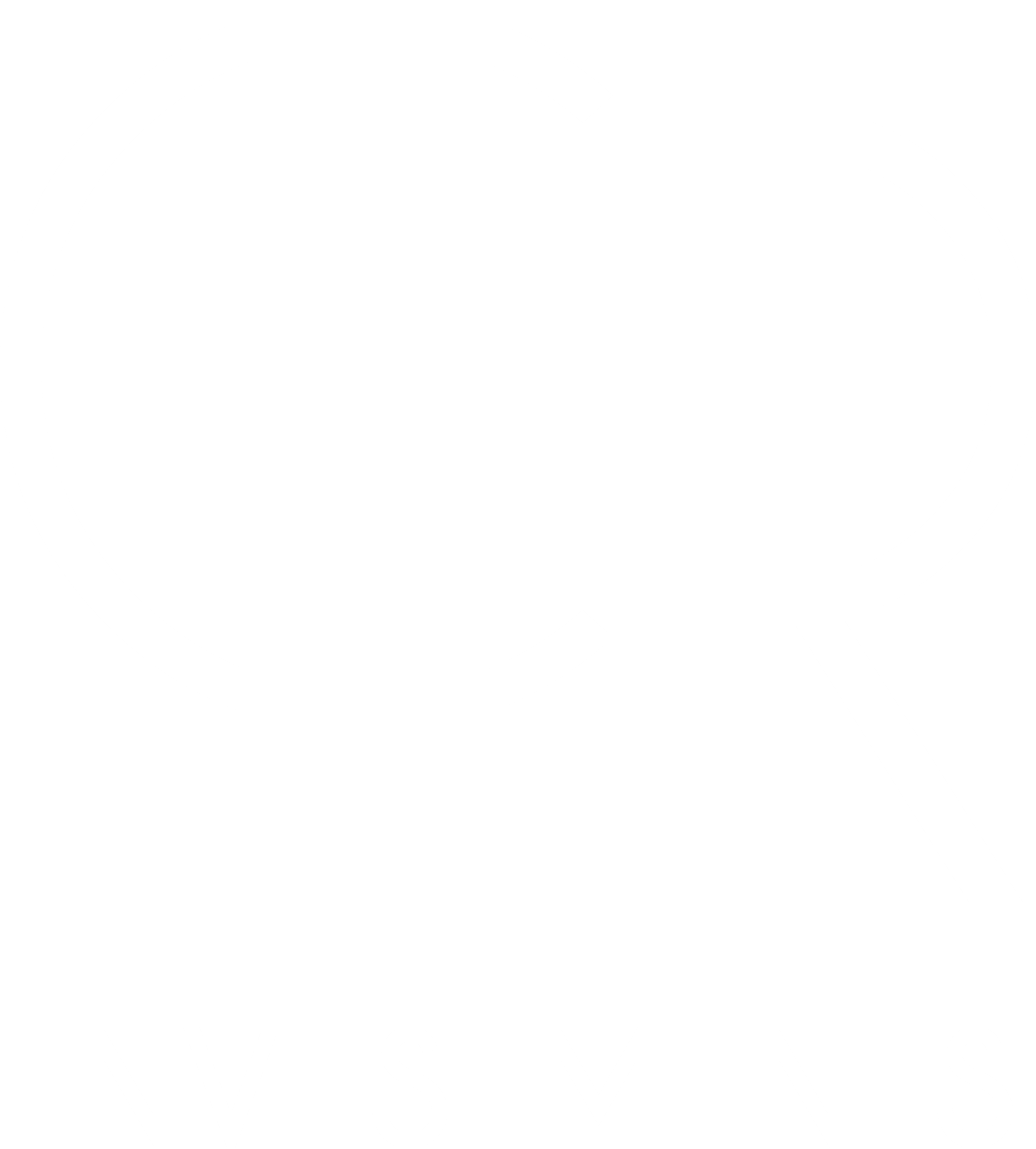 logo CR bile pruhledne